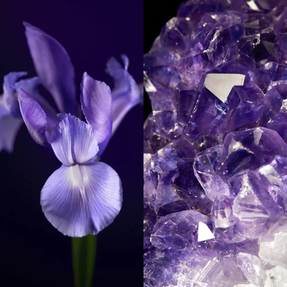 Crema de zi SPF15 cu efect reparator Royal Velvet, 50ml